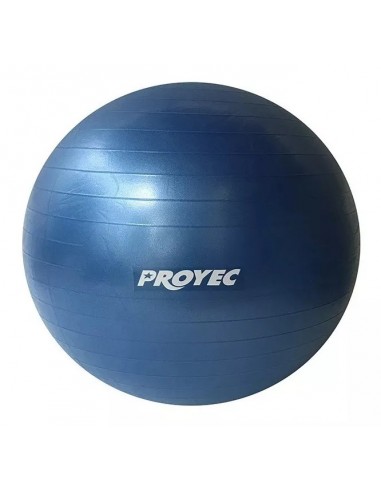 Proyec-324-pelota Esferodinamia 85 Cm. Reforzada-