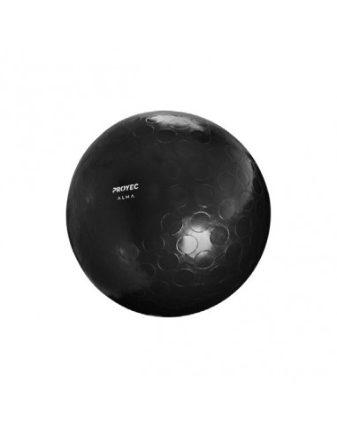 Proyec-058-alma Fitball 75 Cm-